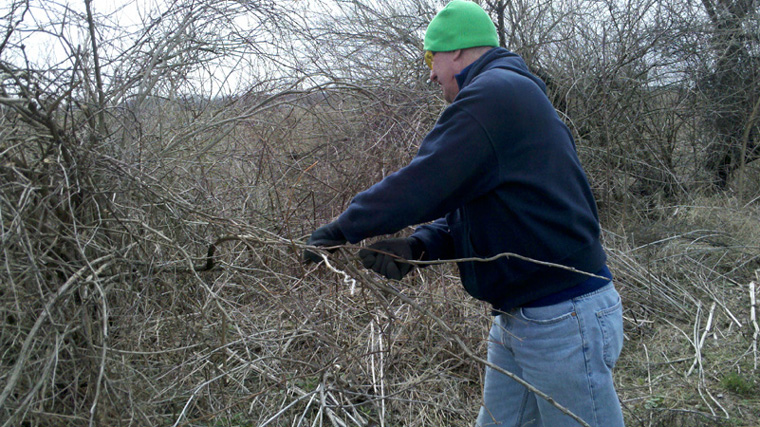 Photos from Trail Cleanup Day